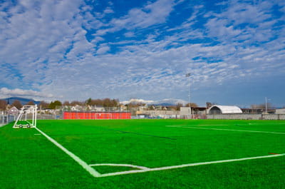 School Field